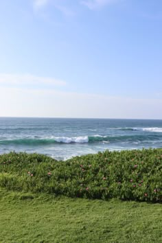 an ocean view with pink flowers in the foreground and green grass on the other side