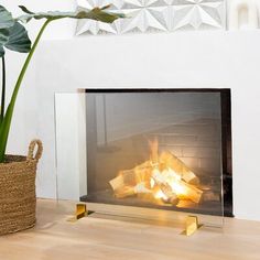 a fire place with a potted plant next to it