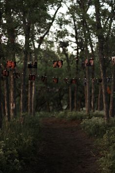 Pictures on fairy lights strung on trees Book Proposal Ideas, Lake Proposal Ideas Romantic, Grand Proposal Ideas, Cottage Proposal Ideas, Simple Nature Proposal, Engagement In The Woods, Proposal Ideas Forest, Outdoor Fall Proposal Ideas, Proposal In Woods