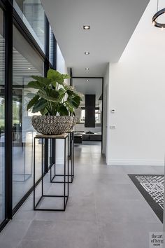 a plant in a pot sitting on top of a metal stand next to a glass wall