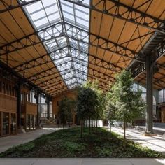 the inside of an empty building with lots of windows and plants growing on the ground