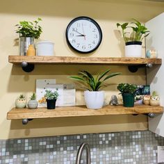 two wooden shelves with plants on them and a clock mounted to the wall behind them