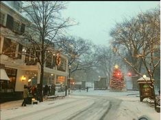 a snow covered street with people walking on it and christmas lights hanging from the trees