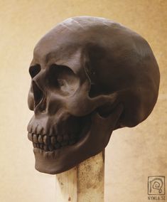 a fake human skull sitting on top of a wooden stick