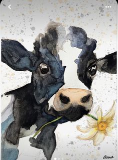 a watercolor painting of a cow with a flower in it's mouth and another cow looking at the camera