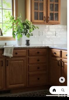 a kitchen with wooden cabinets and white tile backsplash, potted plant on the counter