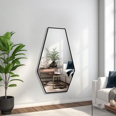 a mirror hanging on the wall next to a potted plant in a living room