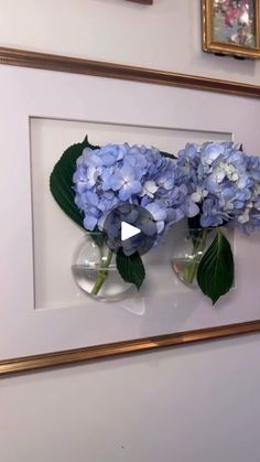 two vases with blue flowers in them on a wall next to framed pictures and paintings