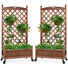 two wooden planters with green plants in them and wheels on the sides, both side by side