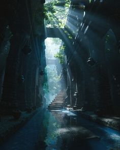 the sun shines through an alley way with stone steps and trees on either side