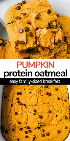 pumpkin protein oatmeal cookie with chocolate chips on top and in the middle