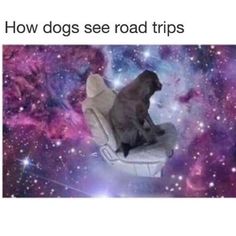 a dog sitting on top of a chair in the middle of space, with text reading how dogs see road trips