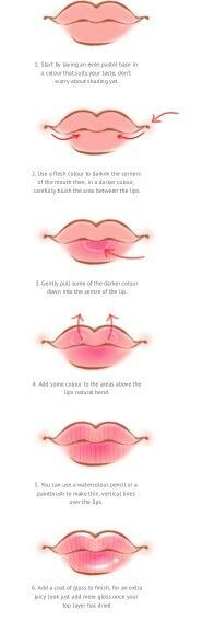 the different types of lips are shown in this diagram