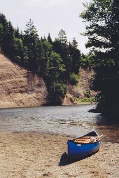 a small blue boat sitting on top of a sandy beach next to a forest covered hillside