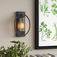 a light fixture mounted on the side of a wall next to a potted plant