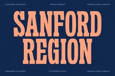 an orange and blue typefaced font with the words san francisco region on it