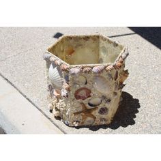 a vase sitting on the sidewalk with shells in it