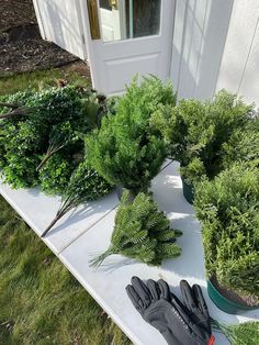 a pair of black gloves sitting on top of a white table next to green plants