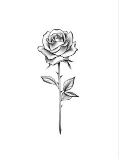 Rose design Mens Small Rose Tattoo, Mens Tatoos Ideas Neck, Rose Tattoo Designs Men, Single Rose Tattoo Men, Small Rose On Hand Tattoo, Rose On Chest Tattoo, Risk Taker Tattoo Design, Rose Small Tattoo Design, Chest Tattoo Rose