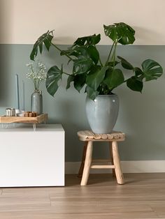 a potted plant sitting on top of a wooden stool in front of a wall