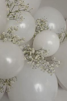 white balloons with baby's breath flowers on them