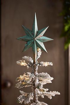 a small christmas tree with a star decoration on it's top and snow covered branches