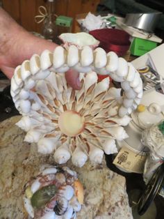 a close up of a person's hand holding an object made out of seashells