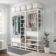 a white closet with clothes hanging on the racks and drawers, next to a potted plant