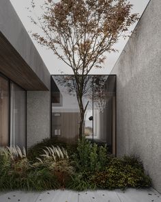 a tree in the middle of a garden next to a building with glass doors and windows