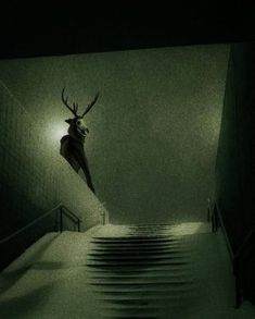 a deer head hanging over the top of a set of stairs in a dark room