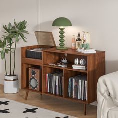 a living room with a couch, bookshelf and a potted plant in it