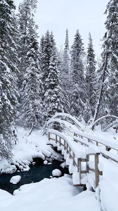 a bridge over a stream surrounded by snow covered trees