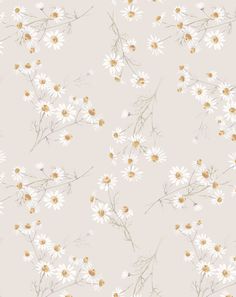 white daisies and yellow flowers on a light pink background