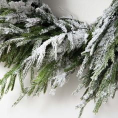 a close up of snow covered branches on a white wall