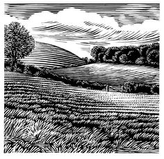 a black and white drawing of a field with trees in the distance, clouds above