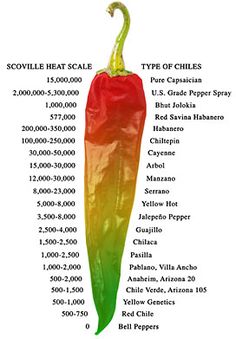 a poster with the names and dates of different types of peppers in each country, including chile