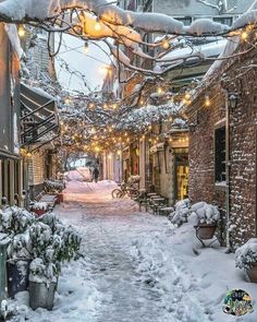 a snowy alley with lights strung from the ceiling and potted plants on either side