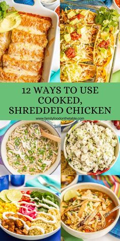 several different types of shredded chicken with text overlay that reads, 12 ways to use shredded chicken