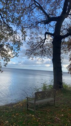 a bench sitting next to a tree near the water