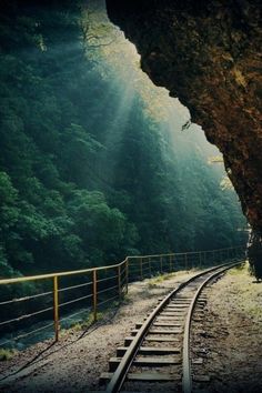 a train track going through a forest next to a large rock formation with trees on both sides