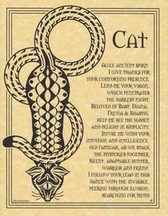 an image of a cat with a snake on it's head and the words, i