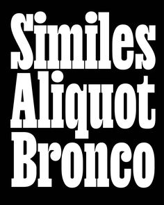 the words smiles, alquot, bronco written in white on a black background