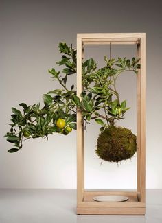 a potted plant is hanging from a wooden frame