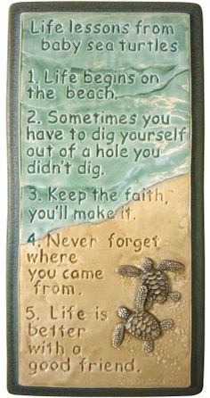 a plaque with an image of a sea turtle on it's side and the words, life lessons from baby sea turtles