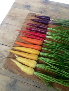 carrots and radishes laid out on a wooden cutting board with green stems