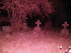 two headstones in the middle of a field at night with trees and bushes behind them