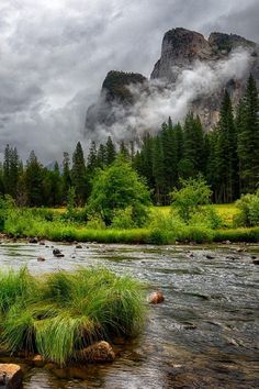 a river flowing through a lush green forest filled with rocks and grass under a cloudy sky