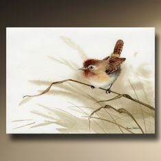 a small bird sitting on top of a dry grass covered branch in front of a white wall