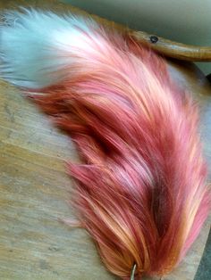 the tail of a bird with pink and white feathers on top of a wooden table