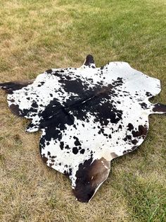 a black and white cow skin laying on the ground